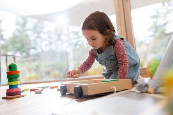 Play Therapy Clinical Program